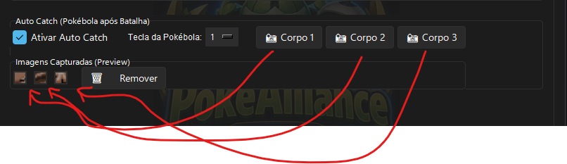 Configuração do Auto Catch